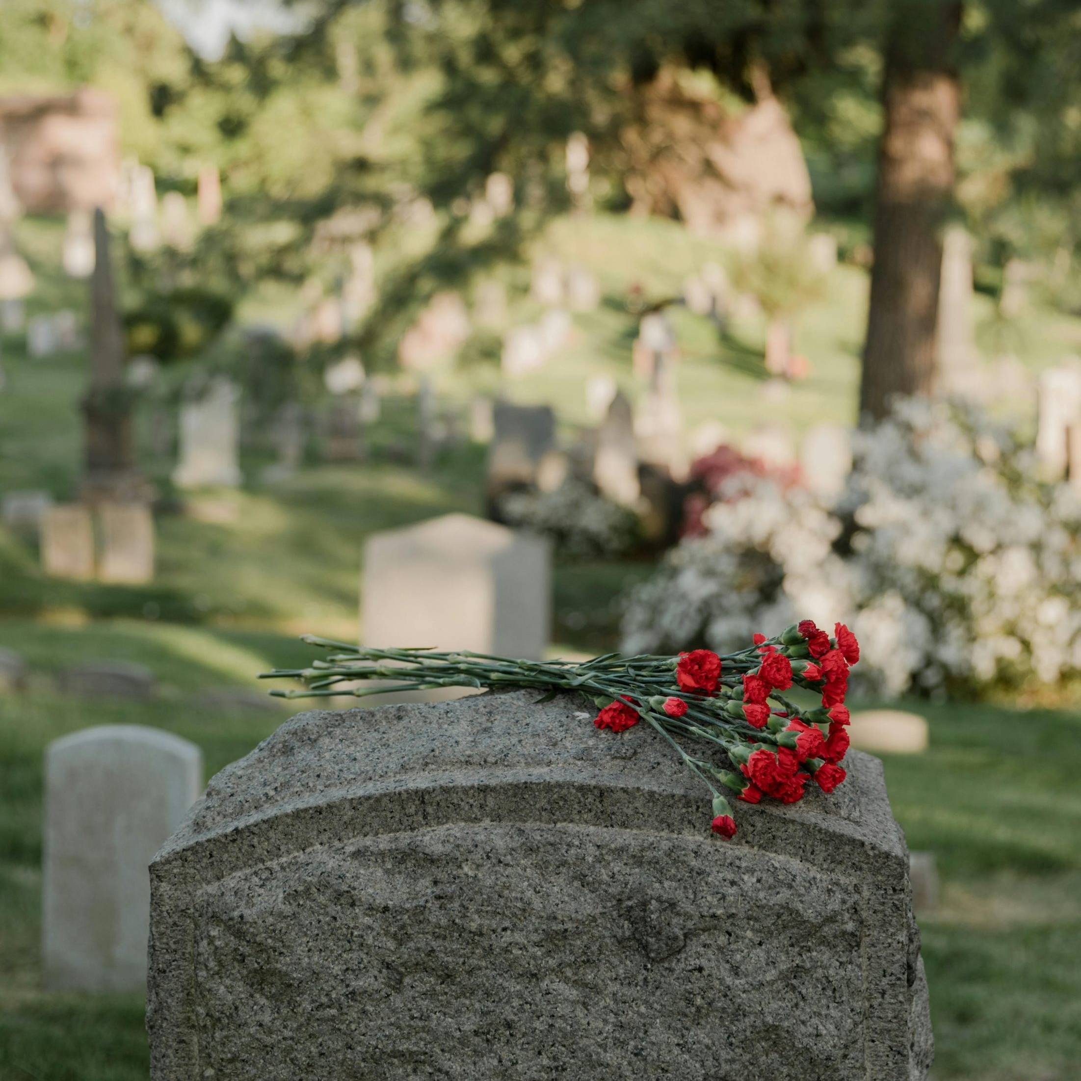 Grabstein auf Friedhof mit roten Blumen auf der Oberfläche